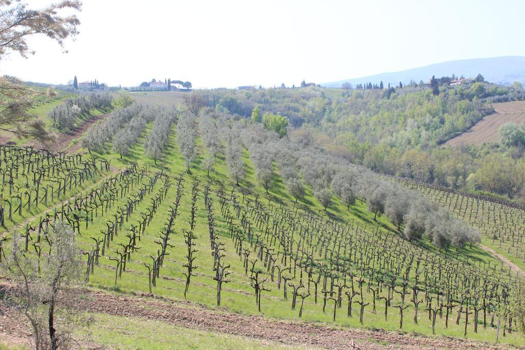 Bio Agriturismo Podere Pretoia San Gimignano Zewnętrze zdjęcie