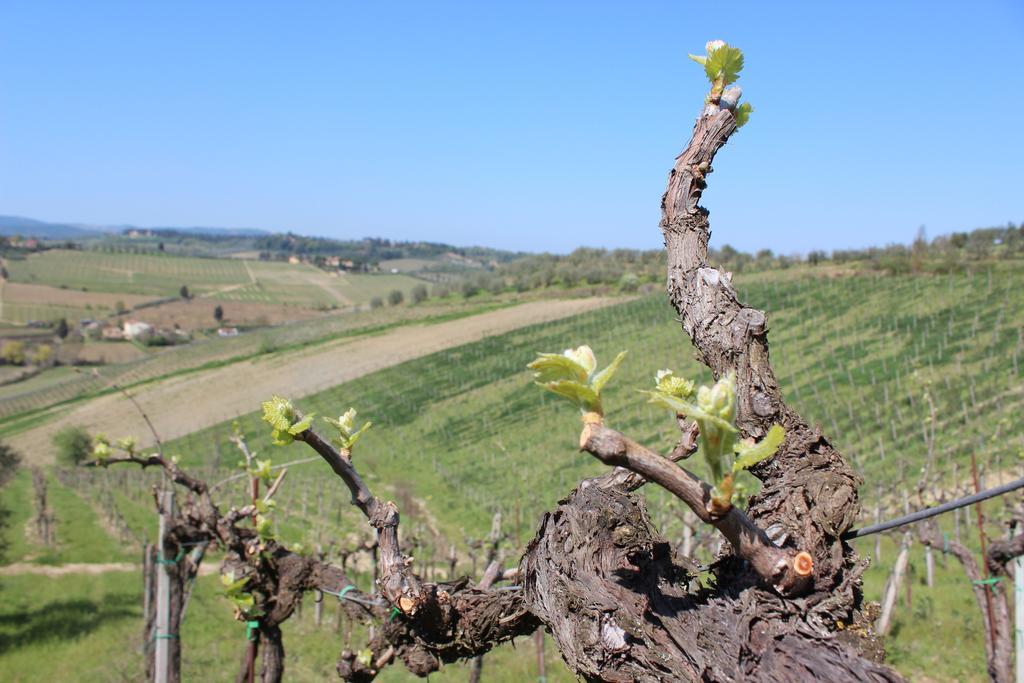 Bio Agriturismo Podere Pretoia San Gimignano Zewnętrze zdjęcie