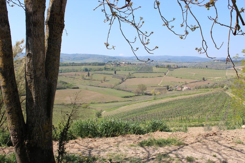 Bio Agriturismo Podere Pretoia San Gimignano Zewnętrze zdjęcie